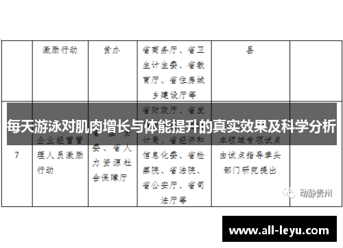 每天游泳对肌肉增长与体能提升的真实效果及科学分析