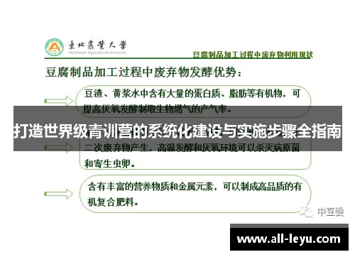 打造世界级青训营的系统化建设与实施步骤全指南